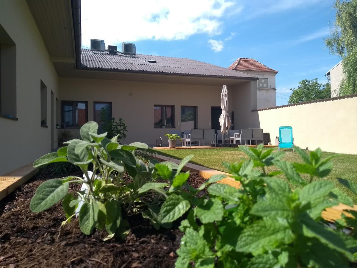 Sabines Apartments Ferienwohnungen Frauenkirchen Exteriér fotografie